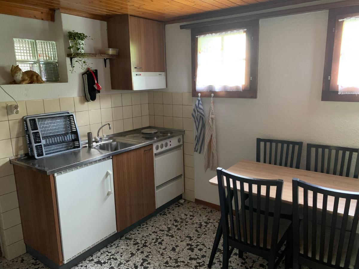 Naturnahe Wohnung Fur 1 - 4 Personen Бріенц Екстер'єр фото